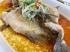 -寻味顺德·珍之宝酒楼(银钻店)