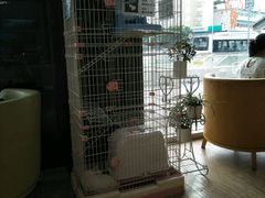 -熊猫邮局(少城店)