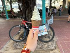 -富豪雪糕车流动点(尖沙咀店)