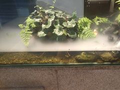 -十二厨·土菜雅院