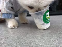 -星巴克(天津鲁能中心第三店)
