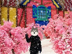 -广州热雪奇迹