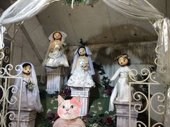 -济州岛泰迪熊博物馆