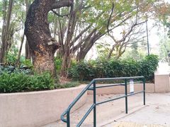 -九龙公园