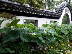 android_upload_pic-郭庄茶室