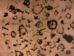 -香港尖沙咀凯悦酒店