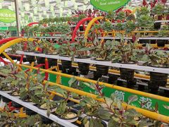 -兰陵国家农业公园