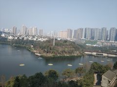 -重庆彩云湖湿地公园