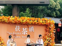 -茯茶镇