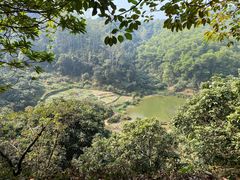 -东莞市大岭山森林公园