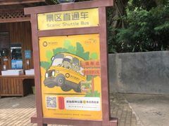 -西双版纳原始森林公园