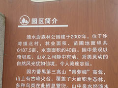 -滴水岩森林公园