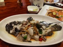 -顺德了能馆(虎门店)