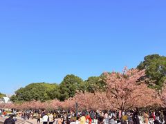 -新江湾城公园