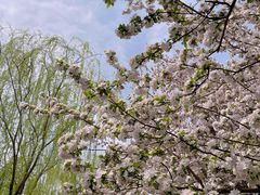 -元大都城垣遗址公园