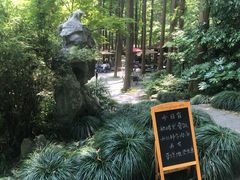 -杭州植物园