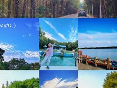 -上海海湾国家森林公园