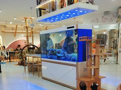 -喵园·猫主题咖啡厅·撸猫·猫咖(国贸店)