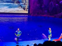 -芜湖新华联大白鲸海洋公园