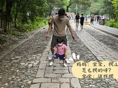 -紫金山山顶公园