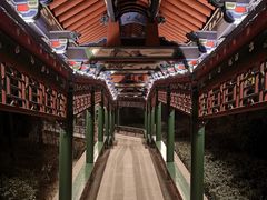 -迎泽公园