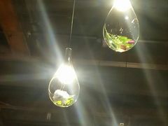 -又一福烤鸭·北京菜(东四店)