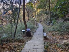-九曜山