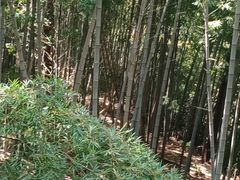 -九龙潭景区