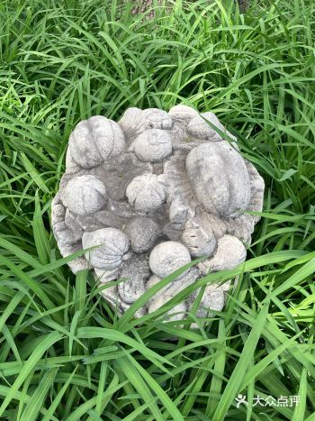 哪位知识渊博的童鞋能告诉我照片上是神马宝贝东东