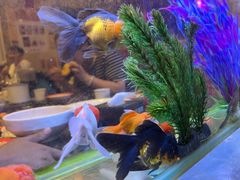 -粗粮人家·东北菜(洋桥店)