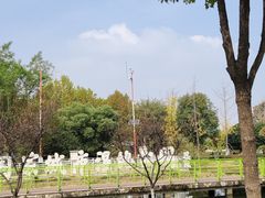 -金银湖国家城市湿地公园