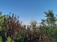 -南翠屏公园