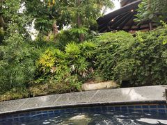 -厦门日月谷温泉渡假村