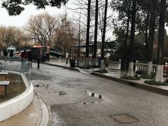 -J Create城市露营咖啡·简餐·宠物(上海动物园店)