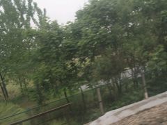-阜阳站
