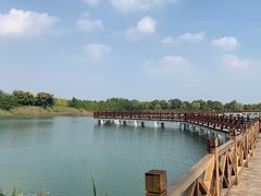 -南湖湿地公园
