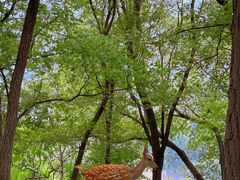 -承德避暑山庄景区