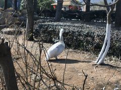 -无锡动物园·太湖欢乐园