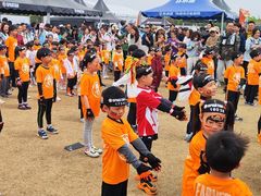 -春花秋色城市公园