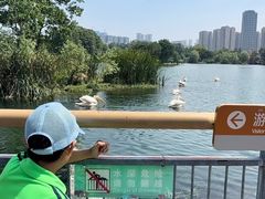-武汉动物园