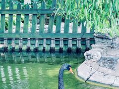 -北京市海淀外国语实验学校