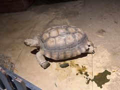 -天津zoonly动物主题公园