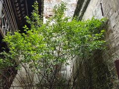 -高淳老街