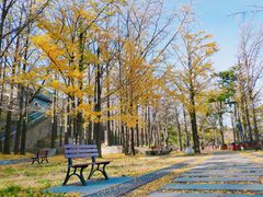-阳台山自然风景区