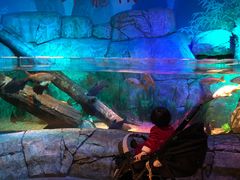 -沈阳海洋探索中心