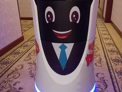 -维也纳国际酒店·上海虹桥火车站国家会展中心店