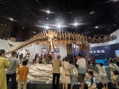 -衢州市博物馆