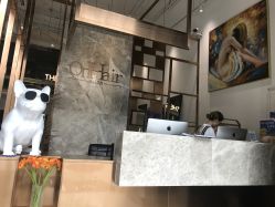 -OnHair Salon