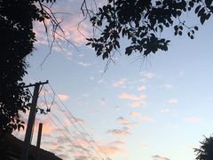 -阊门姚记豆浆(旧学前直营店)