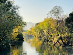 -长兴太湖图影湿地文化园
